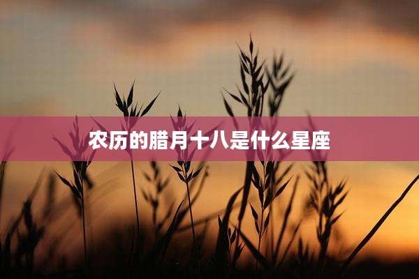 农历的腊月十八是什么星座