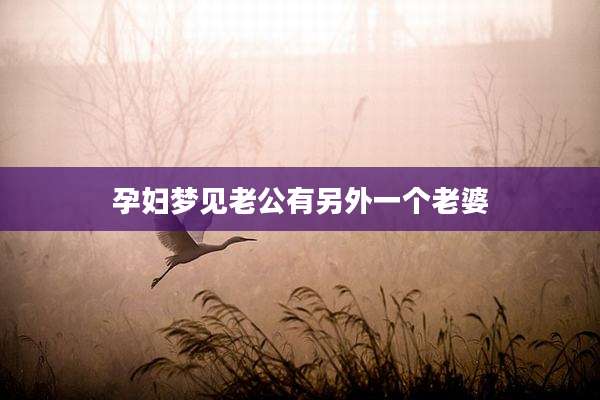 孕妇梦见老公有另外一个老婆