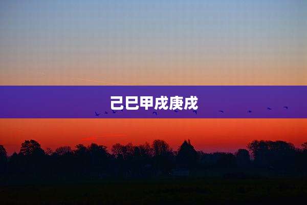 己巳甲戌庚戌