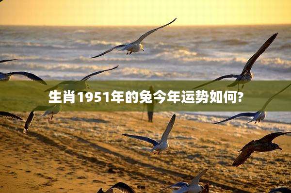 生肖1951年的兔今年运势如何?