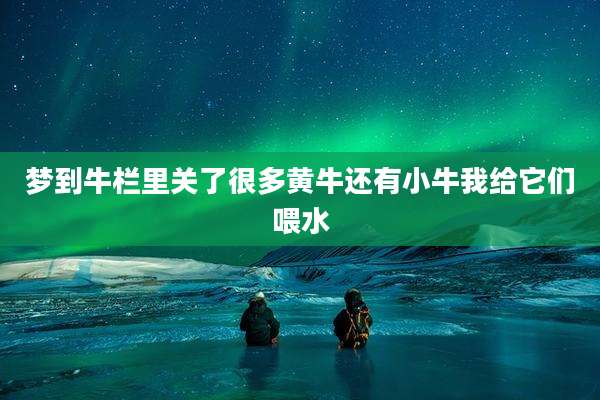 梦到牛栏里关了很多黄牛还有小牛我给它们喂水