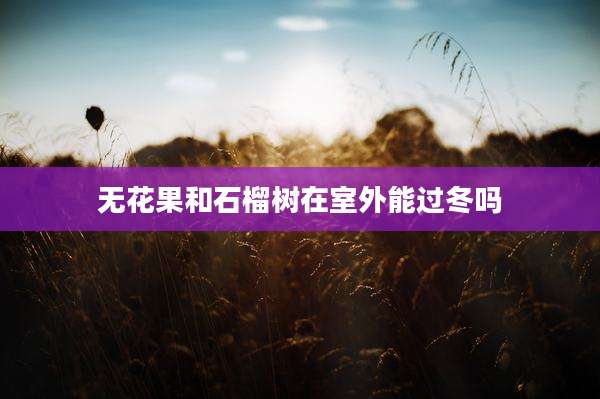 无花果和石榴树在室外能过冬吗