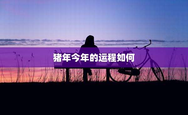 猪年今年的运程如何