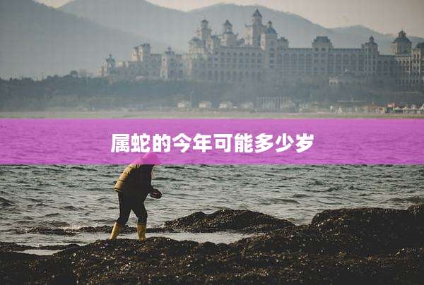 属蛇的今年可能多少岁