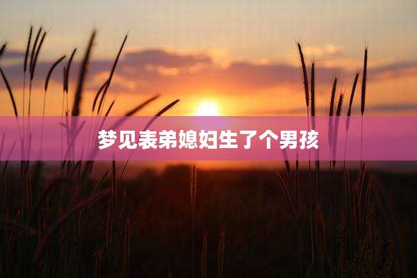 梦见表弟媳妇生了个男孩