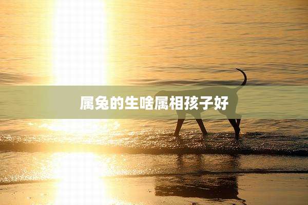 属兔的生啥属相孩子好