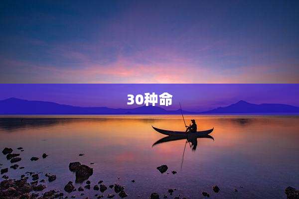 30种命