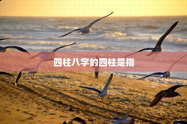 四柱八字的四柱是指