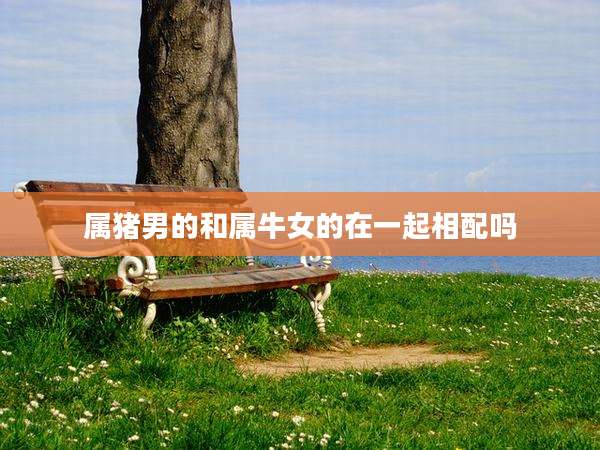 属猪男的和属牛女的在一起相配吗