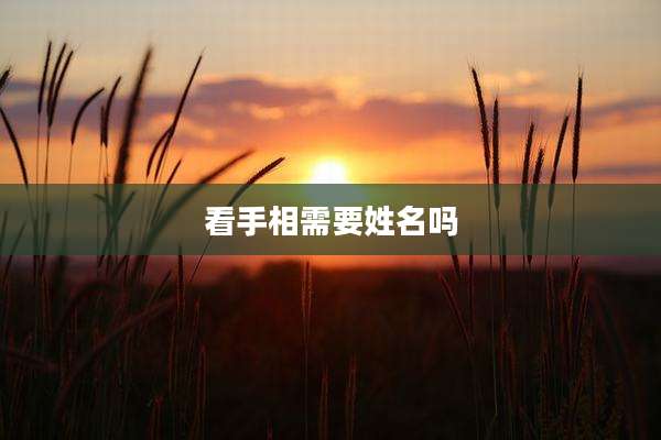 看手相需要姓名吗