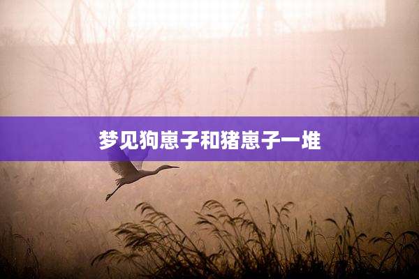 梦见狗崽子和猪崽子一堆