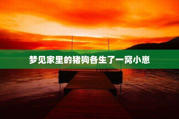 梦见家里的猪狗各生了一窝小崽