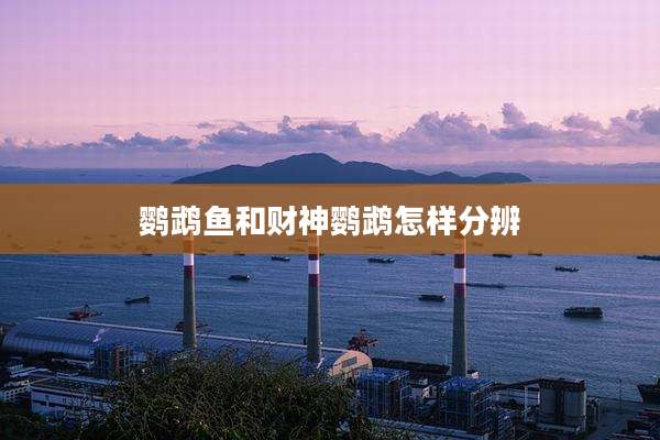鹦鹉鱼和财神鹦鹉怎样分辨