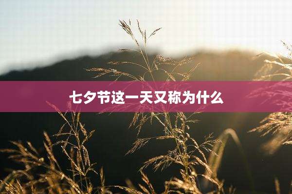 七夕节这一天又称为什么