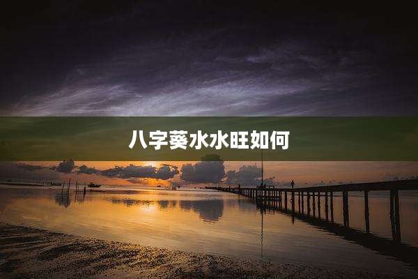 八字葵水水旺如何