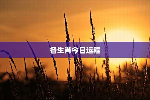 各生肖今日运程