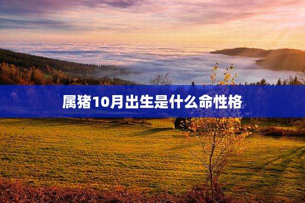 属猪10月出生是什么命性格