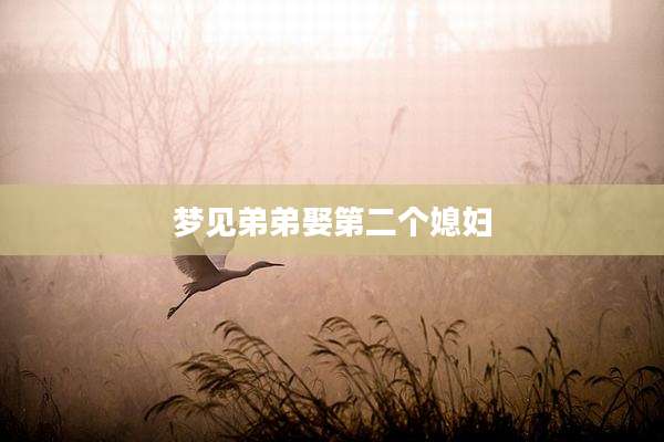 梦见弟弟娶第二个媳妇