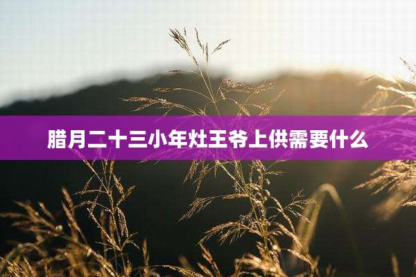 腊月二十三小年灶王爷上供需要什么