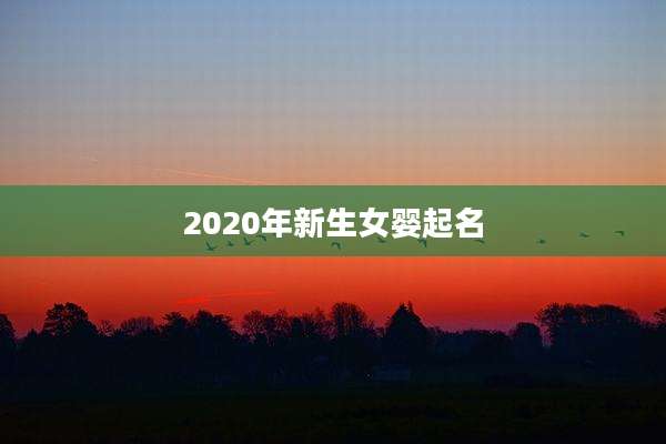 2020年新生女婴起名