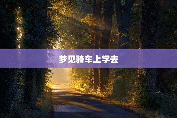 梦见骑车上学去