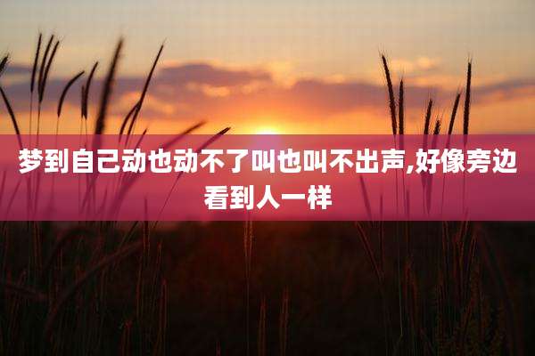 梦到自己动也动不了叫也叫不出声,好像旁边看到人一样