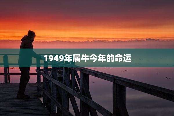 1949年属牛今年的命运
