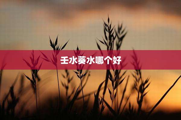 壬水葵水哪个好