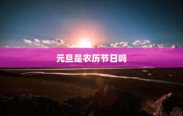 元旦是农历节日吗