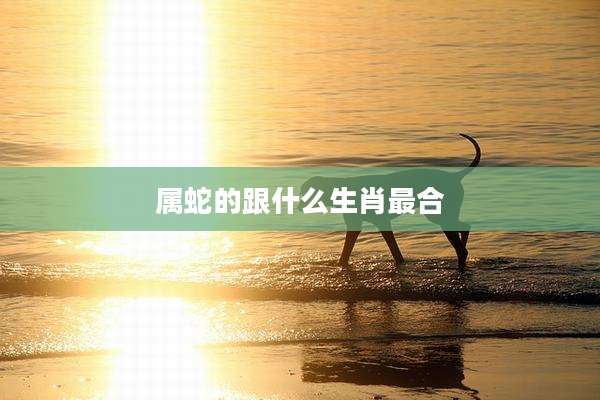属蛇的跟什么生肖最合