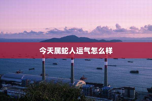 今天属蛇人运气怎么样