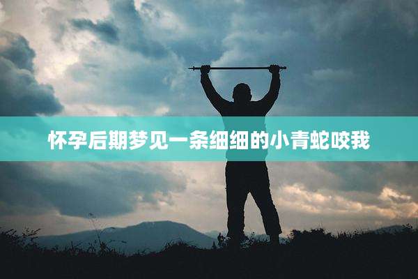 怀孕后期梦见一条细细的小青蛇咬我