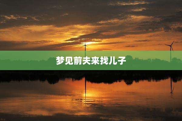 梦见前夫来找儿子