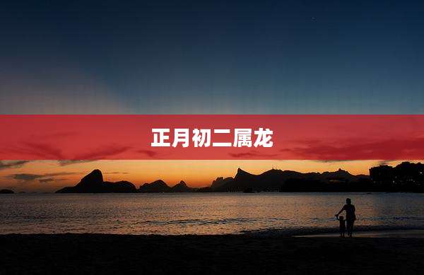 正月初二属龙