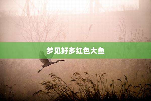 梦见好多红色大鱼