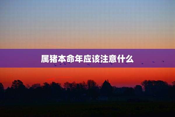 属猪本命年应该注意什么