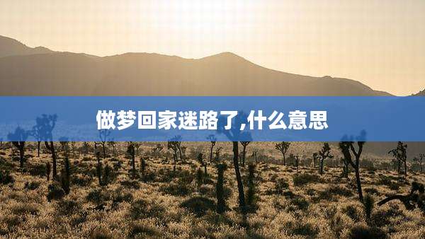 做梦回家迷路了,什么意思