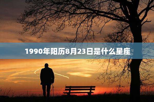 1990年阳历8月23日是什么星座
