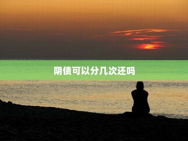 阴债可以分几次还吗