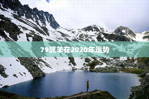 79属羊在2020年运势