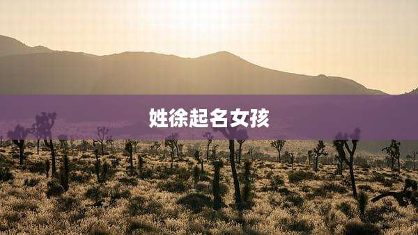 姓徐起名女孩