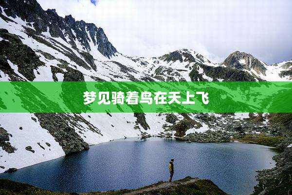 梦见骑着鸟在天上飞