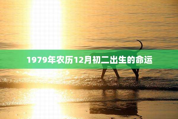 1979年农历12月初二出生的命运