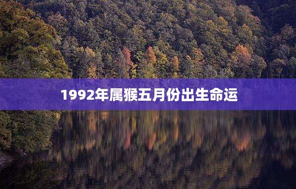 1992年属猴五月份出生命运