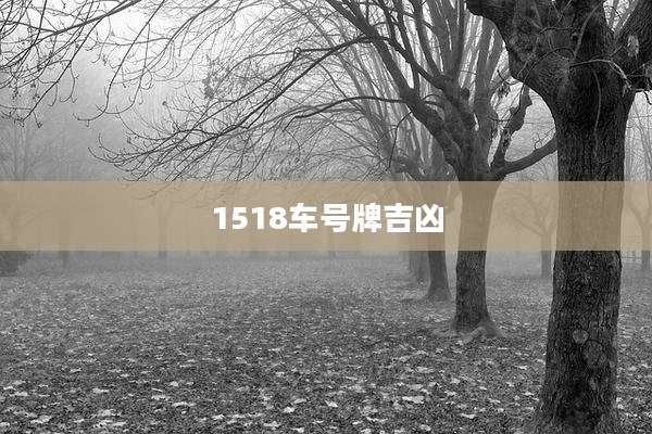 1518车号牌吉凶