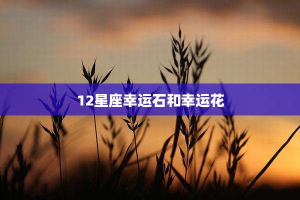 12星座幸运石和幸运花