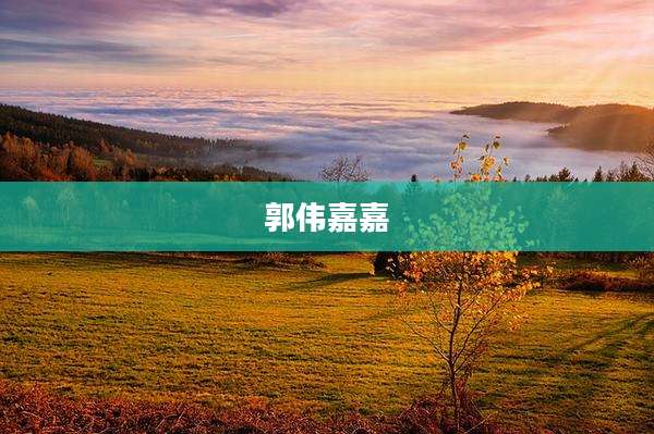 郭伟嘉嘉