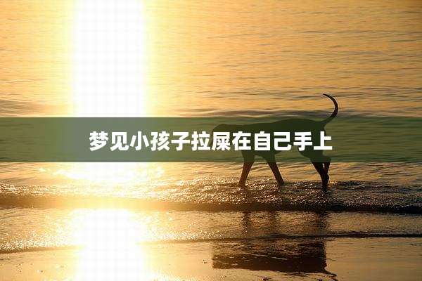 梦见小孩子拉屎在自己手上