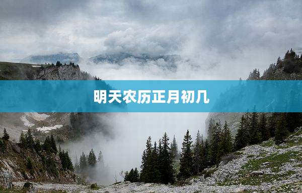 明天农历正月初几