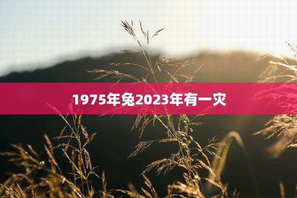 1975年兔2023年有一灾